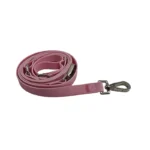 dual-ended dog leash with a reinforced strap and two metal snap hooks, on a white background.