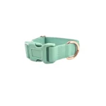 Light green PVC dog collar with quick-release buckle and D-ring on white - CHANGGUANG