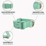 Light green PVC dog collar feature graphic with buckle, D-ring and adjustable fit - CHANGGUANG