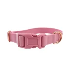 Pink PVC dog collar with quick-release buckle and D-ring, front view - CHANGGUANG