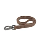 teal PVC dog leash with textured strap, metal swivel clasp, and reinforced end, on a white background.