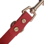 red PVC double-ended dog leash with two metal snap hooks and a reinforced strap, on a white background.