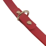 red PVC double-ended dog leash with two metal snap hooks and a reinforced strap, on a white background.