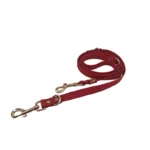 red PVC double-ended dog leash with two metal snap hooks and a reinforced strap, on a white background.