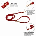 red PVC double-ended dog leash with two metal snap hooks and a reinforced strap, on a white background.