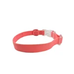 red clear-buckle dog collar with a transparent quick-release buckle and D-ring, on a white background.