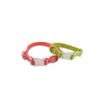 red and lime green clear-buckle dog collar with a transparent quick-release buckle and D-ring, on a white background.