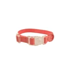 coral clear-buckle dog collar with a transparent quick-release buckle and D-ring, on a white background.