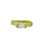 lime green clear-buckle dog collar with a transparent quick-release buckle and D-ring, on a white background.