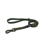 green custom logo PVC dog leash with coated strap and snap hook, shown lengthwise on white.