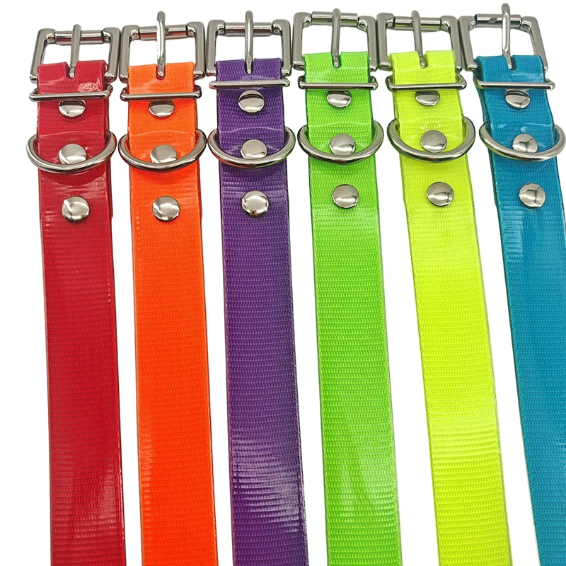 Six brightly colored collar straps with silver-tone buckles and D-rings