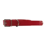 orange TPU dog collar with TPU-coated strap, adjustment holes, and metal buckle, on a white background.
