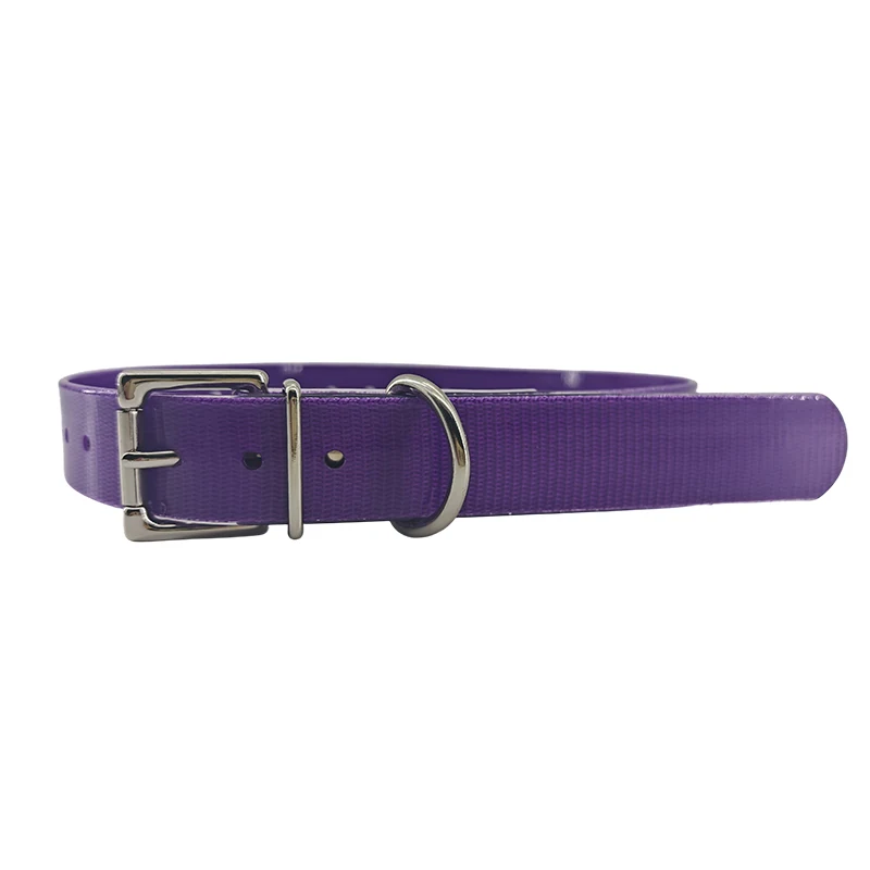 purple TPU dog collar with TPU-coated strap, adjustment holes, and metal buckle, on a white background.