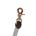 brown round rope dog leash with a braided rope body and metal snap hook, on a white background.