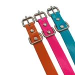 multicolor solid-color TPU dog collar, in a multicolor product assortment.
