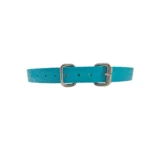 teal solid-color TPU dog collar with solid-color TPU strap, metal buckle, and D-ring, on a white background.