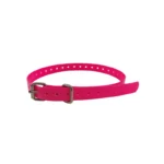 pink solid-color TPU dog collar with solid-color TPU strap, metal buckle, and D-ring, on a white background.