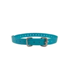 teal solid-color TPU dog collar with solid-color TPU strap, metal buckle, and D-ring, on a white background.