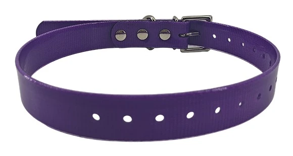 Purple textured collar with adjustment holes and silver-tone buckle
