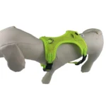 white dog wearing a lime green LED safety harness with illuminated light strips.