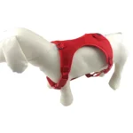 white dog wearing a red LED safety harness with red light strips.