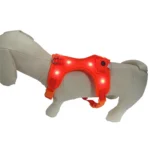 white dog wearing a red LED safety harness with illuminated red light strips.